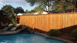 Fence & Stain